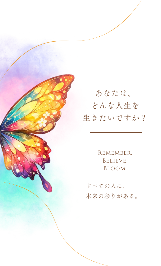 IRODORIST名刺 裏面